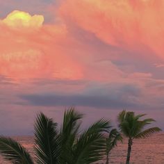 palm trees are in front of the ocean at sunset