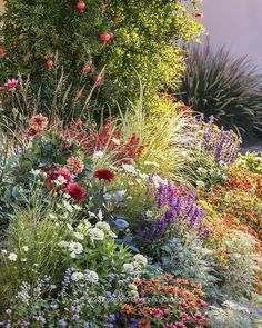 a garden filled with lots of different colored flowers