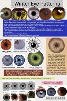 Winter Eye Pattern