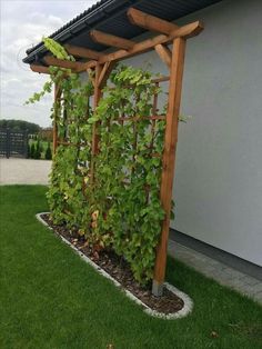 a trellis with vines growing on it in the grass next to a wall and building