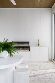 a kitchen with white cabinets and a potted plant on the counter