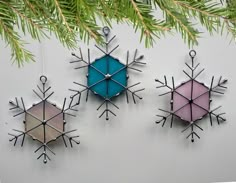 three snowflakes hanging from a tree branch on a white wall with pine branches