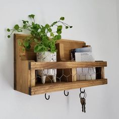 a potted plant is sitting on a shelf next to two keys and a key holder