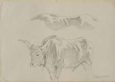 two cows standing next to each other in a drawing on white paper with black ink