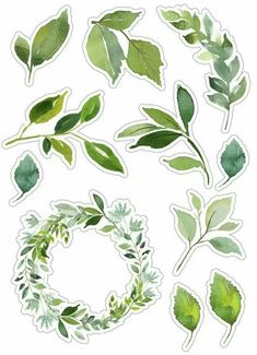 watercolor leaves and wreath stickers