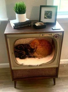 a cat sleeping on top of an old tv