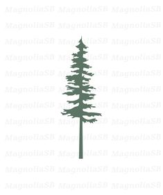 the silhouette of a pine tree on a white background