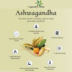 Benefits Of Ashwagandha, Ashwagandha Benefits, Medical Herbs, Ayurvedic Healing, Healthy Hormones, Health Heal, Herbal Healing, Home Health Remedies