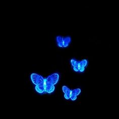 four blue butterflies glowing in the dark with their wings spread out to look like they are flying