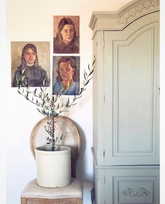 a potted plant sitting on top of a wooden table next to a white cabinet