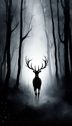 a deer standing in the middle of a forest