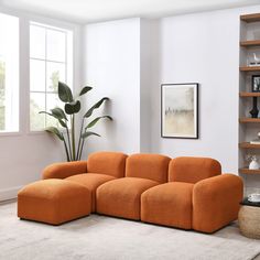 an orange couch sitting on top of a white rug next to a potted plant