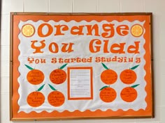 a bulletin board with oranges and writing on it that says, orange you glad you started studying