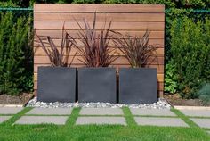 a garden with grass and plants next to a fence