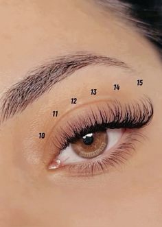 Lash Extensions Lash Map, Natural Lash Extensions, Lashes Ideas, Lash Map, Prom Eye Makeup, Cat Eye Lash