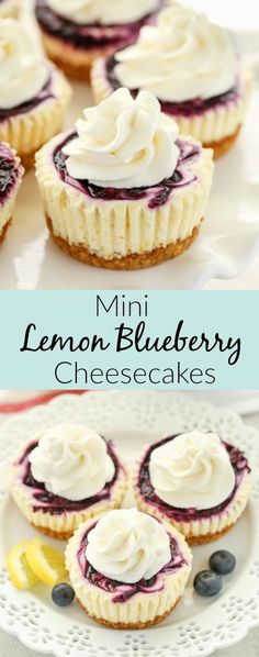 mini lemon blueberry cheesecakes on a white plate with the title above it