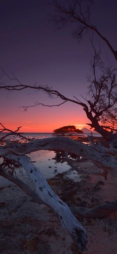 the sun is setting over the water and trees on the beach in front of it