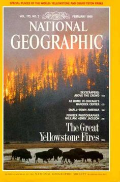 the front cover of national geographic magazine, featuring bison and trees in the background