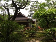 a small building surrounded by trees and bushes