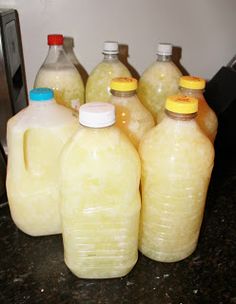 four gallon jugs of liquid sitting on a counter