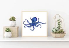 an octopus art print on a shelf next to succulents