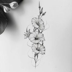 a black and white drawing of flowers on a sheet of paper next to a plant