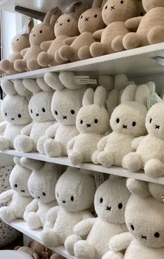 several rows of stuffed animals on shelves in a room with other stuffed animals behind them