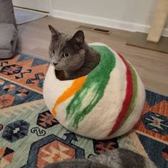 a cat sitting on top of a colorful ball in the middle of a living room