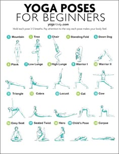 the yoga poses for beginners poster