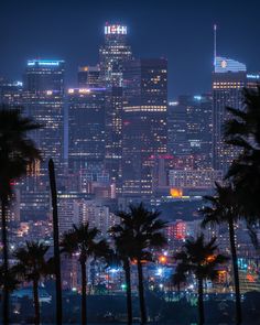 the city skyline is lit up at night, with palm trees in front of it