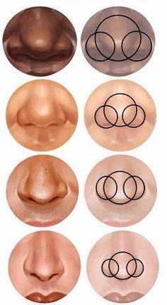 an image of different types of nose shapes