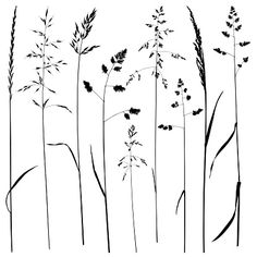 black and white silhouettes of tall grass on a white background