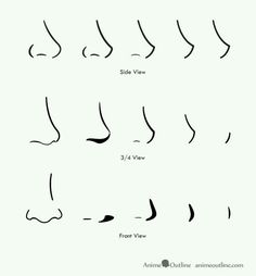 the different types of nose shapes and how to draw them