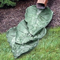 a large leafy green plant with water coming out of it's end in the grass