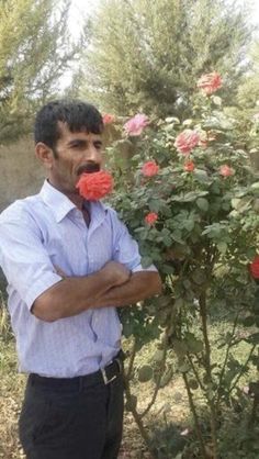 a man standing next to a bush with roses in it