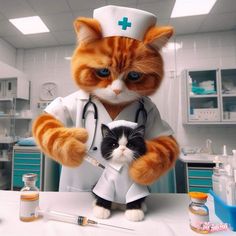 an orange and white cat in a doctor's hat holding a black and white kitten