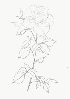 Sketches With Shading, Sketches Dark, Easy Flower Drawings, Pencil Drawings Of Flowers, Simple Sketch, Drawing Flowers, Flower Art Drawing