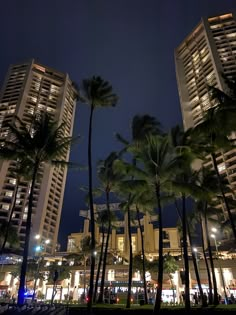 palm trees in the foreground and tall buildings in the background with lights on at night