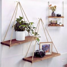 two wooden shelves with plants and pictures on them, one holding a camera the other hanging