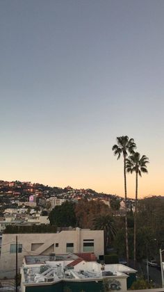 the sun is setting over a city with palm trees and buildings in the foreground