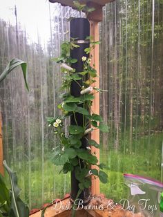 a tall wooden pole with plants growing out of it's sides in front of a window