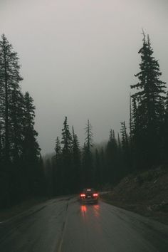 a car driving down the road in front of some trees on a foggy day