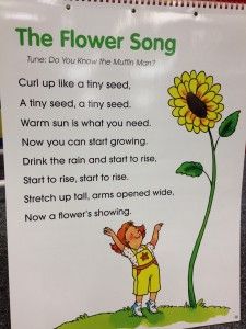 a children's book about the flower song