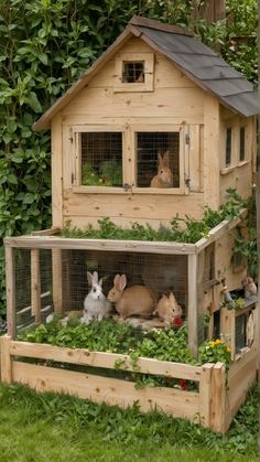 two rabbits are sitting in an outdoor rabbit house