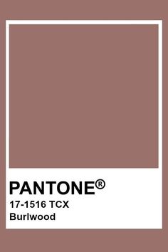 pantone's brown and white color scheme with the words, 17 - 216 tcx burrwood