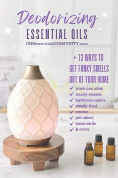 Remove odors naturally without chemicals-- DIY recipes for pet odors, smoke, stinky shoes, smelly washing machines, musty basements & more! Essential Oil Blend To Remove Odors, Deodorizing Essential Oil Blends, Odor Eliminator Diy, Smelly Washing Machines, One Essential Community, Best Smelling Essential Oils, Homemade Salve, Cleaning Naturally, Stinky Shoes