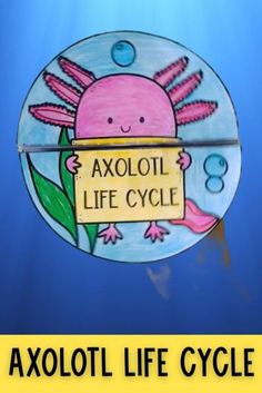 a sign that says axolot life cycle on the side of a blue background