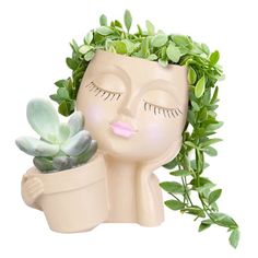 a planter shaped like a face holding a succulent