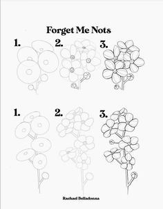 the instructions for how to draw forget me nots flowers with markers and pencils