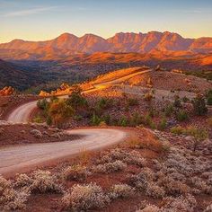 a dirt road in the middle of a desert with mountains in the background at sunset